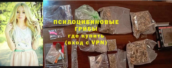 герыч Арсеньев