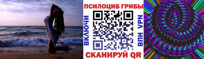Псилоцибиновые грибы MAGIC MUSHROOMS гидра вход Шуя купить закладку